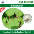 Resveratrol 98% (Extracto de Knotweed gigante)